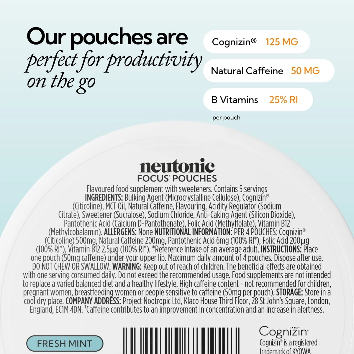 Focus Pouches - Fresh Mint - Image 7